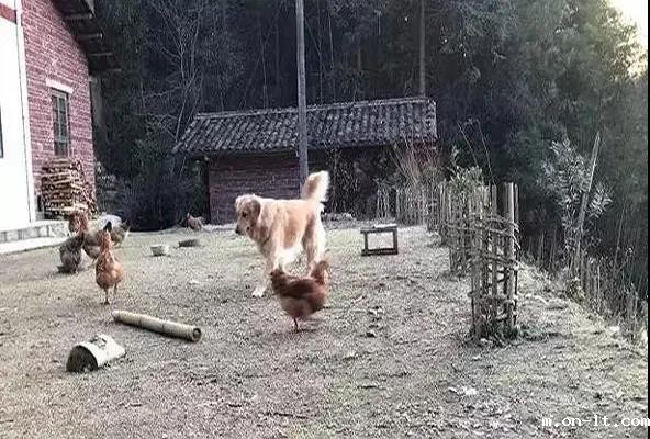 微信图片_20210308104957.jpg 微信图片_20210308104957.jpg