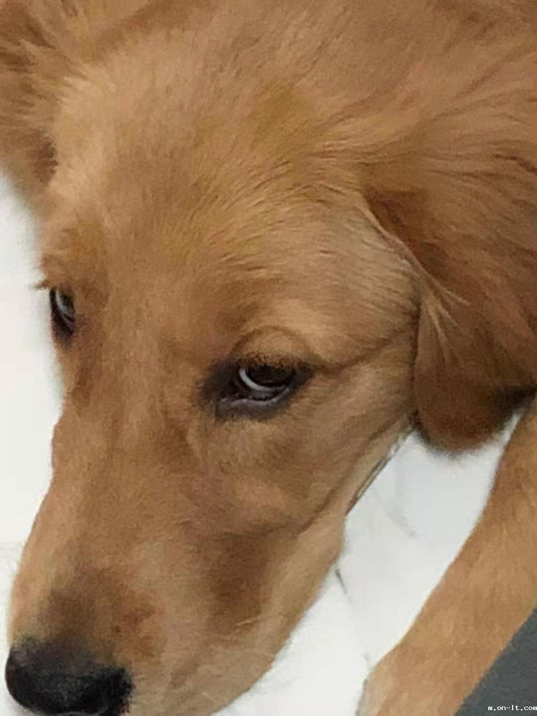 微信图片_20210308105044.png 微信图片_20210308105044.png
